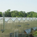 PC sheet /glass greenhouse Venlo greenhouse